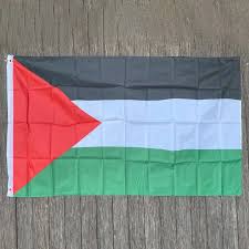 Palestine Flags (3x5 ft  -  5x8 ft)