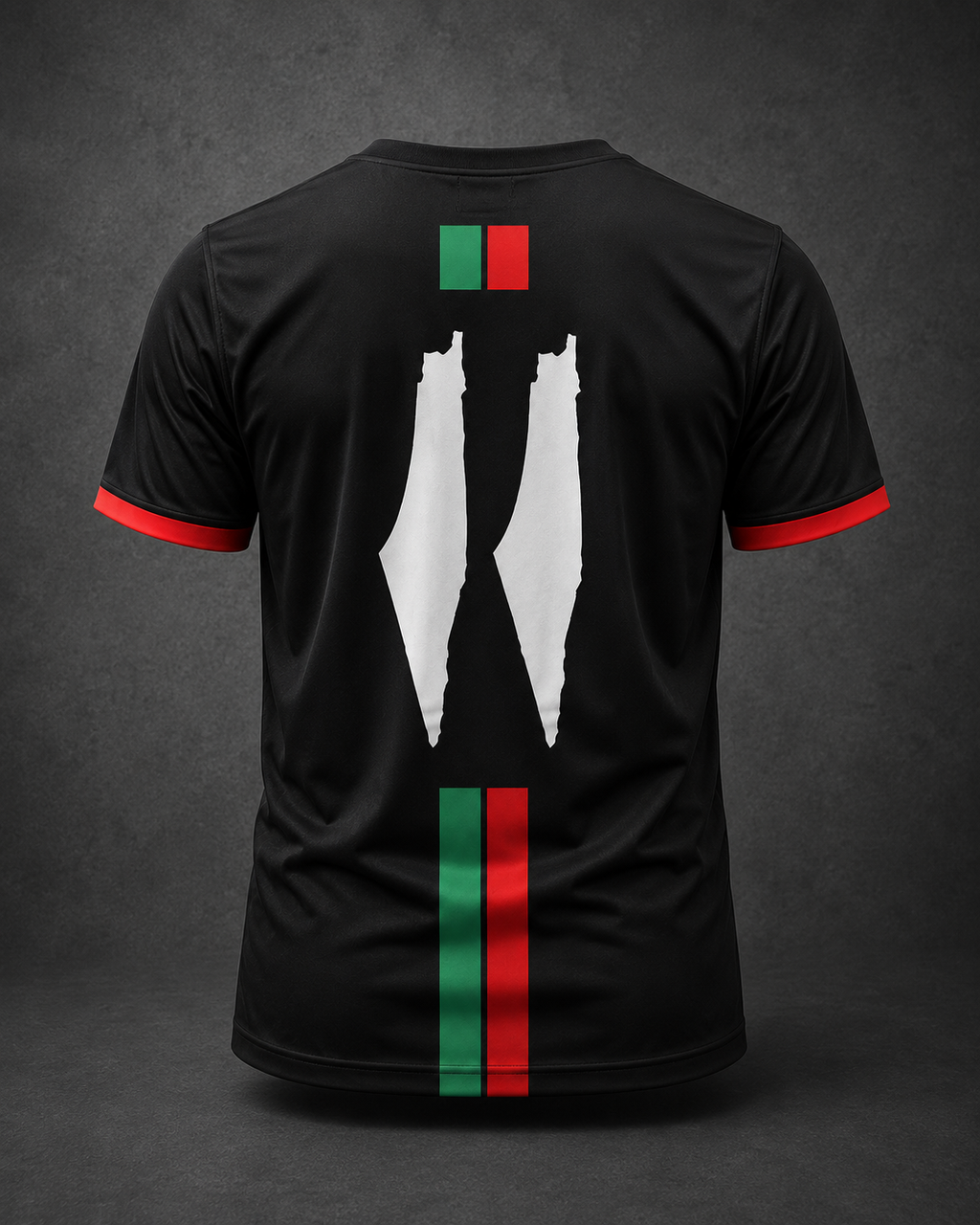 Palestinian Heritage Jersey