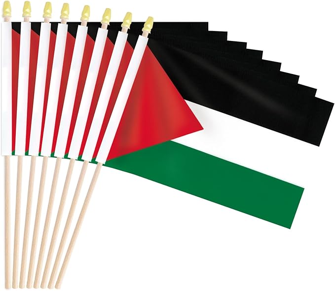 Palestine mini kids flag
